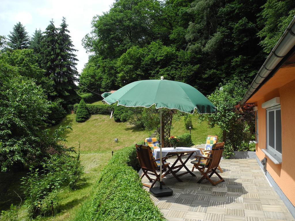 Ferienhaus Am Urzeitpark Sebnitz Hertigswalde Buitenkant foto